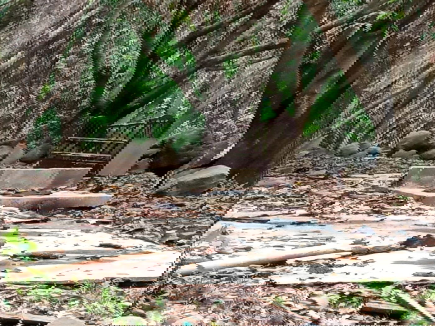 מקווה, בגדים ונעליים; כך נראה המתחם העזוב של כת 'לב טהור' בגואטמלה