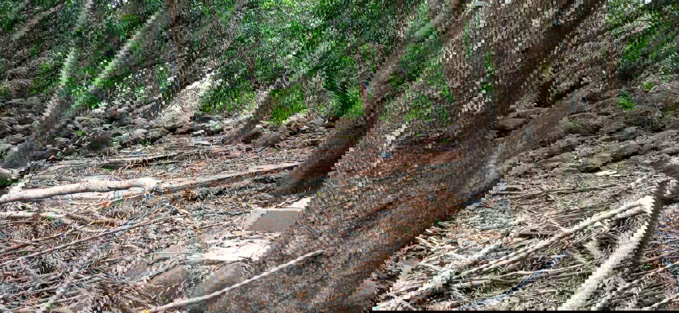 מקווה, בגדים ונעליים; כך נראה המתחם העזוב של כת 'לב טהור' בגואטמלה