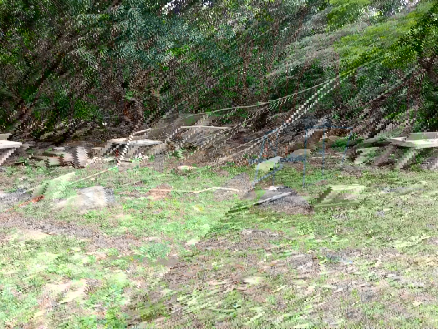 מקווה, בגדים ונעליים; כך נראה המתחם העזוב של כת 'לב טהור' בגואטמלה