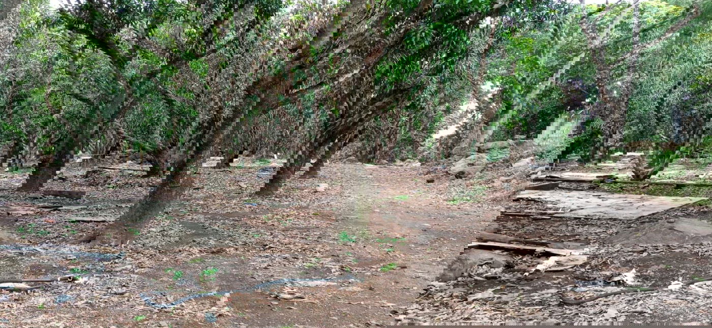 מקווה, בגדים ונעליים; כך נראה המתחם העזוב של כת 'לב טהור' בגואטמלה