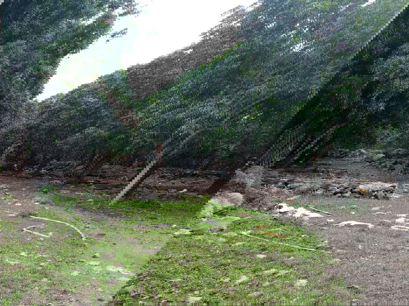 מקווה, בגדים ונעליים; כך נראה המתחם העזוב של כת 'לב טהור' בגואטמלה