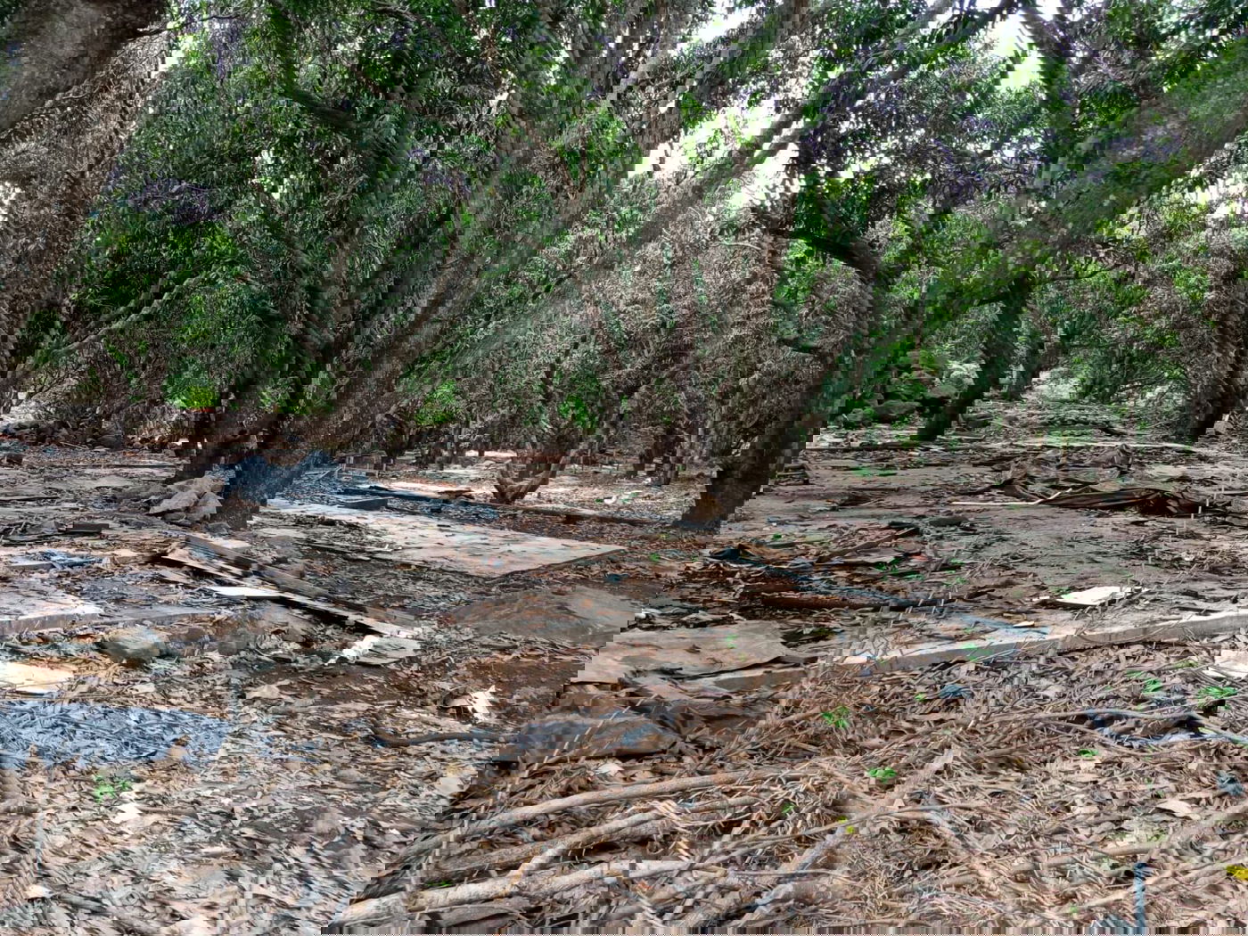 מקווה, בגדים ונעליים; כך נראה המתחם העזוב של כת 'לב טהור' בגואטמלה