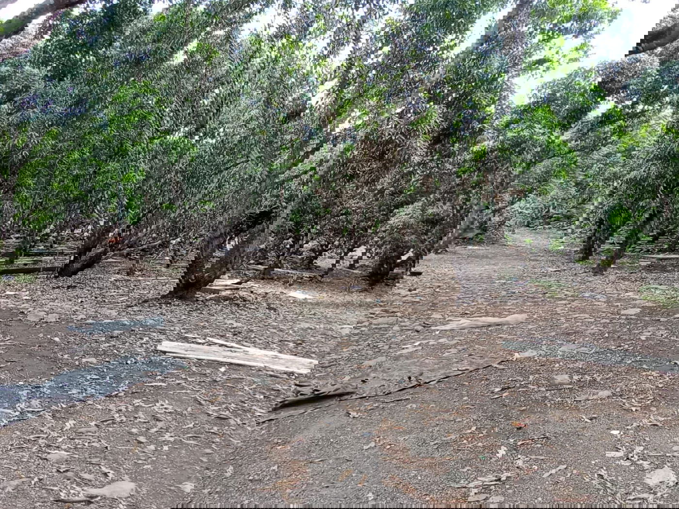 מקווה, בגדים ונעליים; כך נראה המתחם העזוב של כת 'לב טהור' בגואטמלה