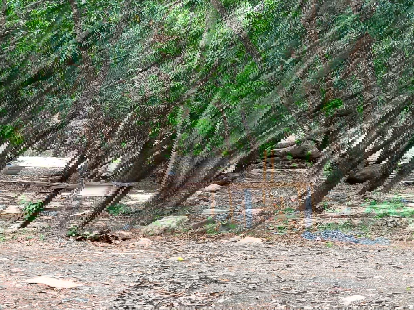 מקווה, בגדים ונעליים; כך נראה המתחם העזוב של כת 'לב טהור' בגואטמלה