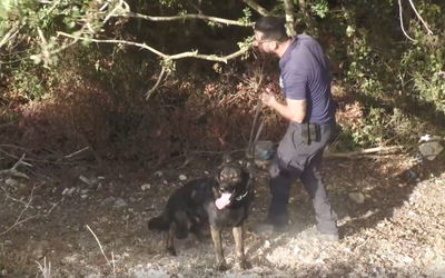 החיפושים אחר הנעדרת