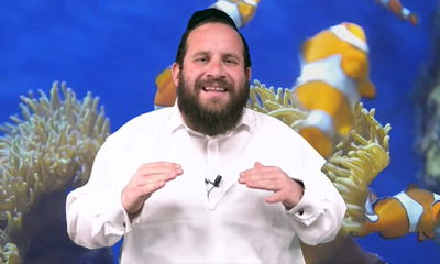 תכנית חינוכית ומיוחדת לילדים לסוף השבוע