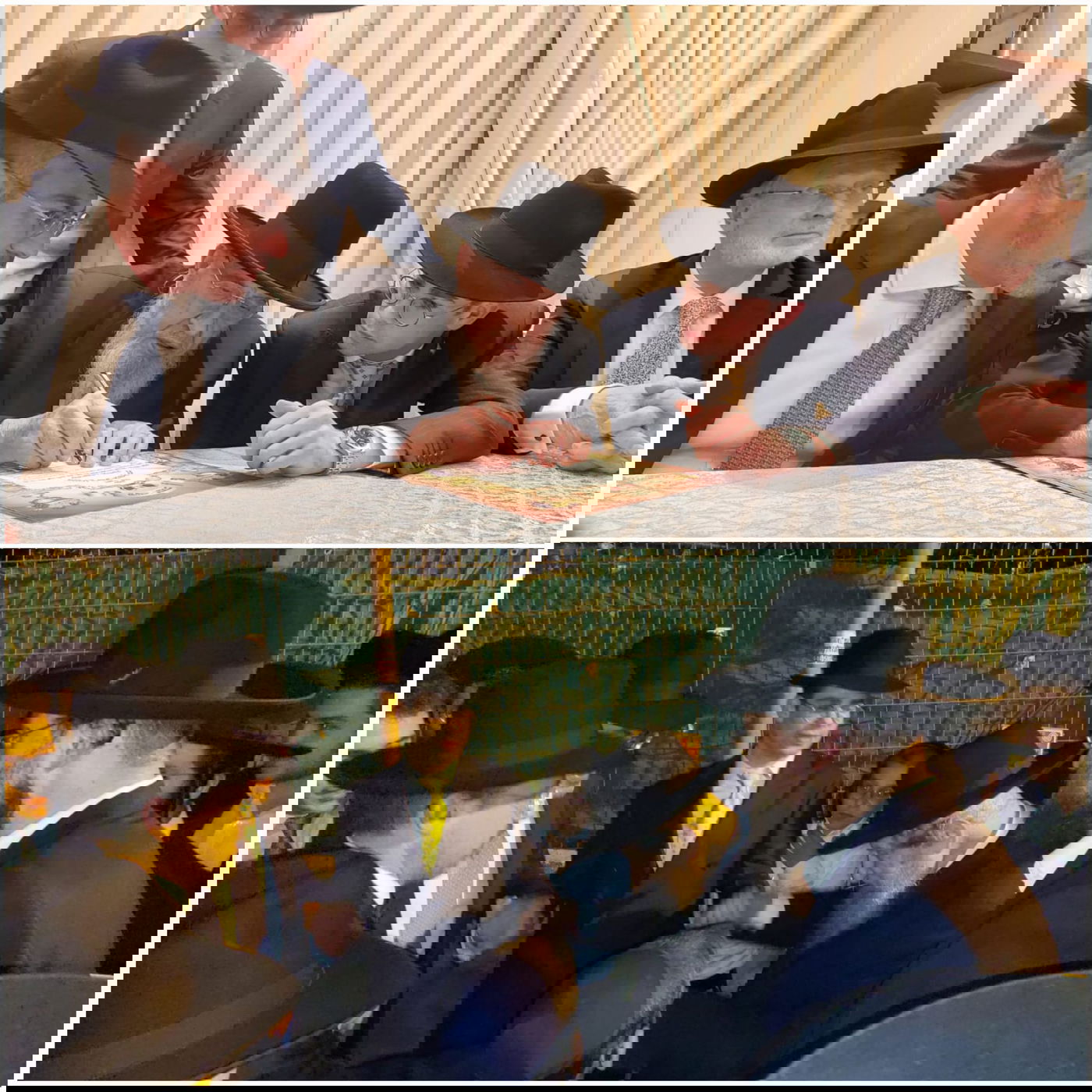 זופניק בכיכר • כל התמונות והנייעס של השבוע