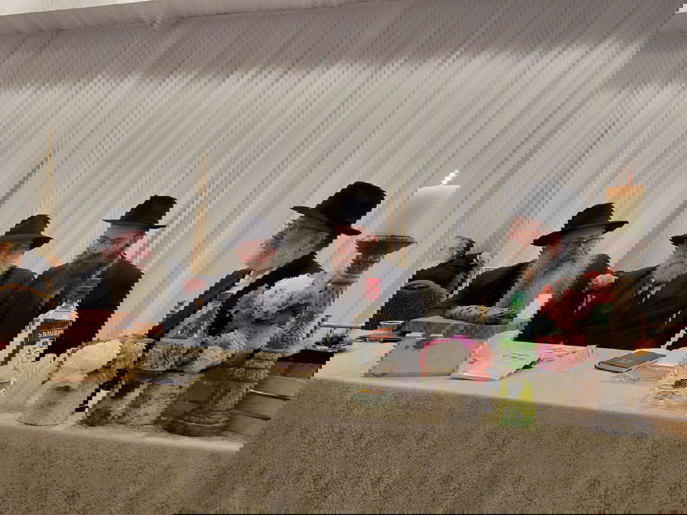 זופניק בכיכר • כל התמונות והנייעס של השבוע