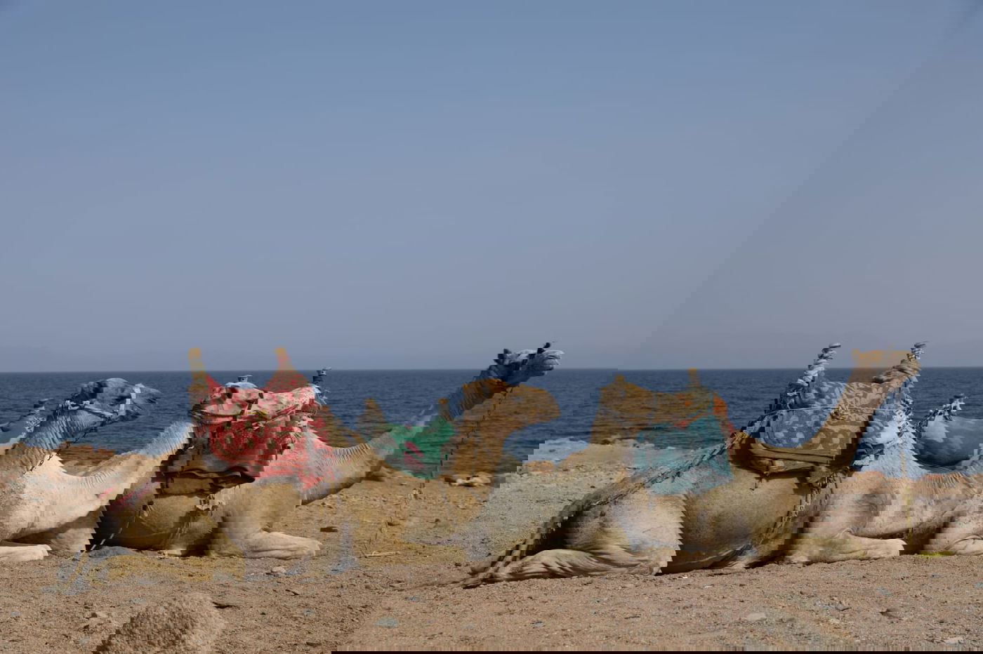 טיול מרהיב לנופי סיני דרך עדשת המצלמה