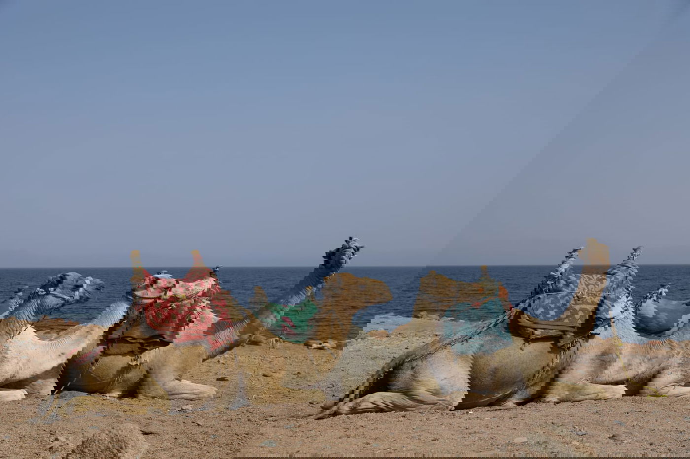 טיול מרהיב לנופי סיני דרך עדשת המצלמה