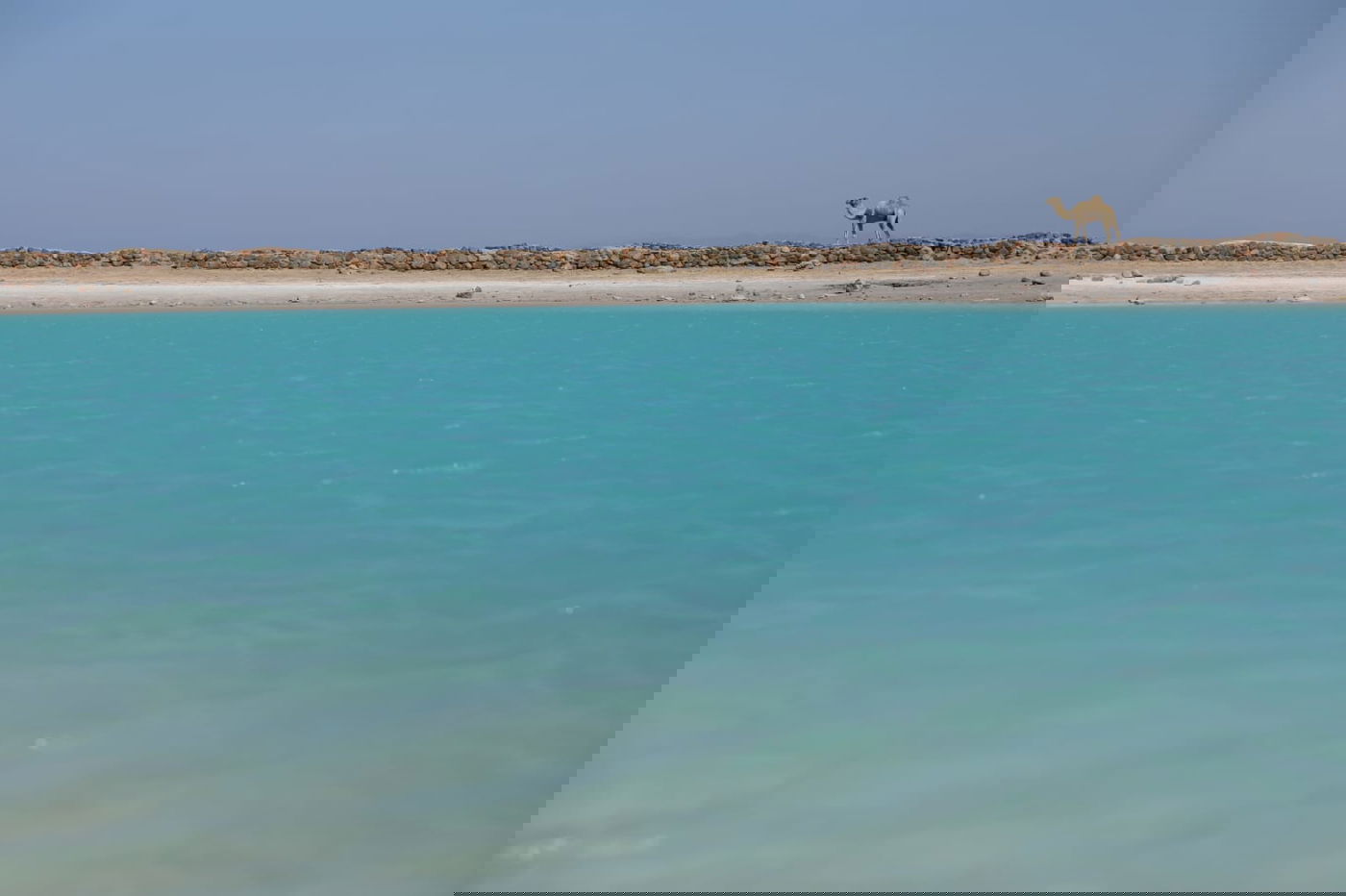 טיול מרהיב לנופי סיני דרך עדשת המצלמה