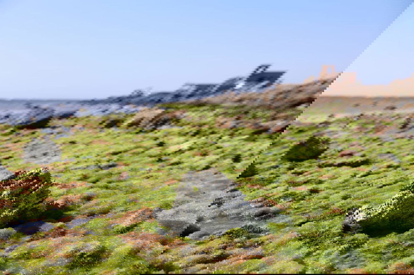 טיול מרהיב לנופי סיני דרך עדשת המצלמה