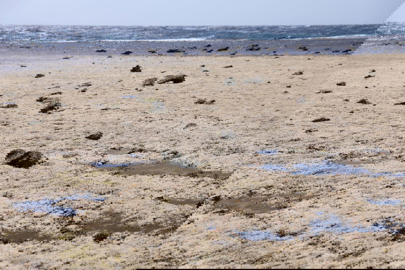 טיול מרהיב לנופי סיני דרך עדשת המצלמה