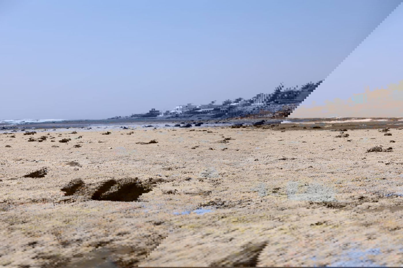 טיול מרהיב לנופי סיני דרך עדשת המצלמה