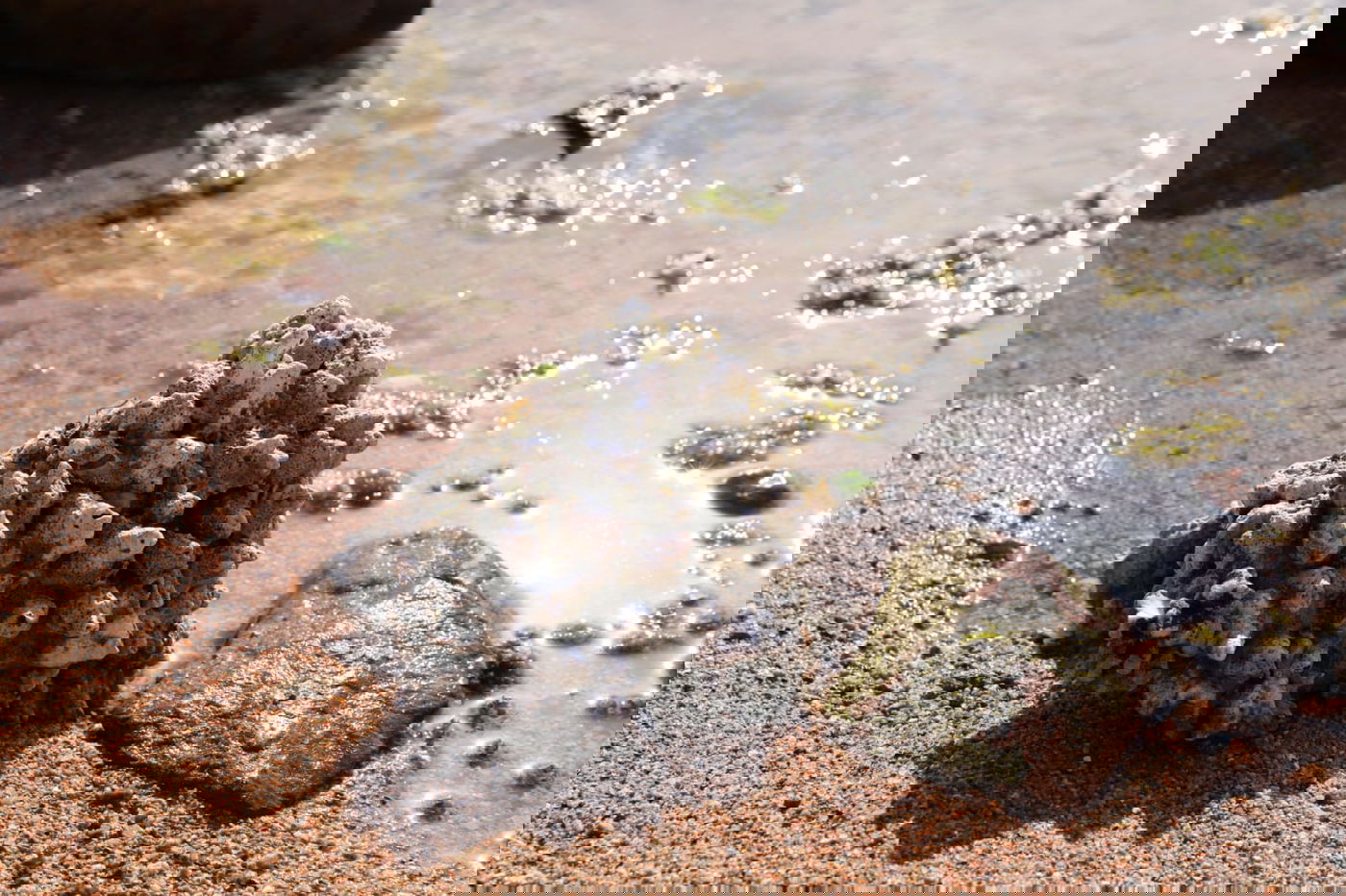 טיול מרהיב לנופי סיני דרך עדשת המצלמה