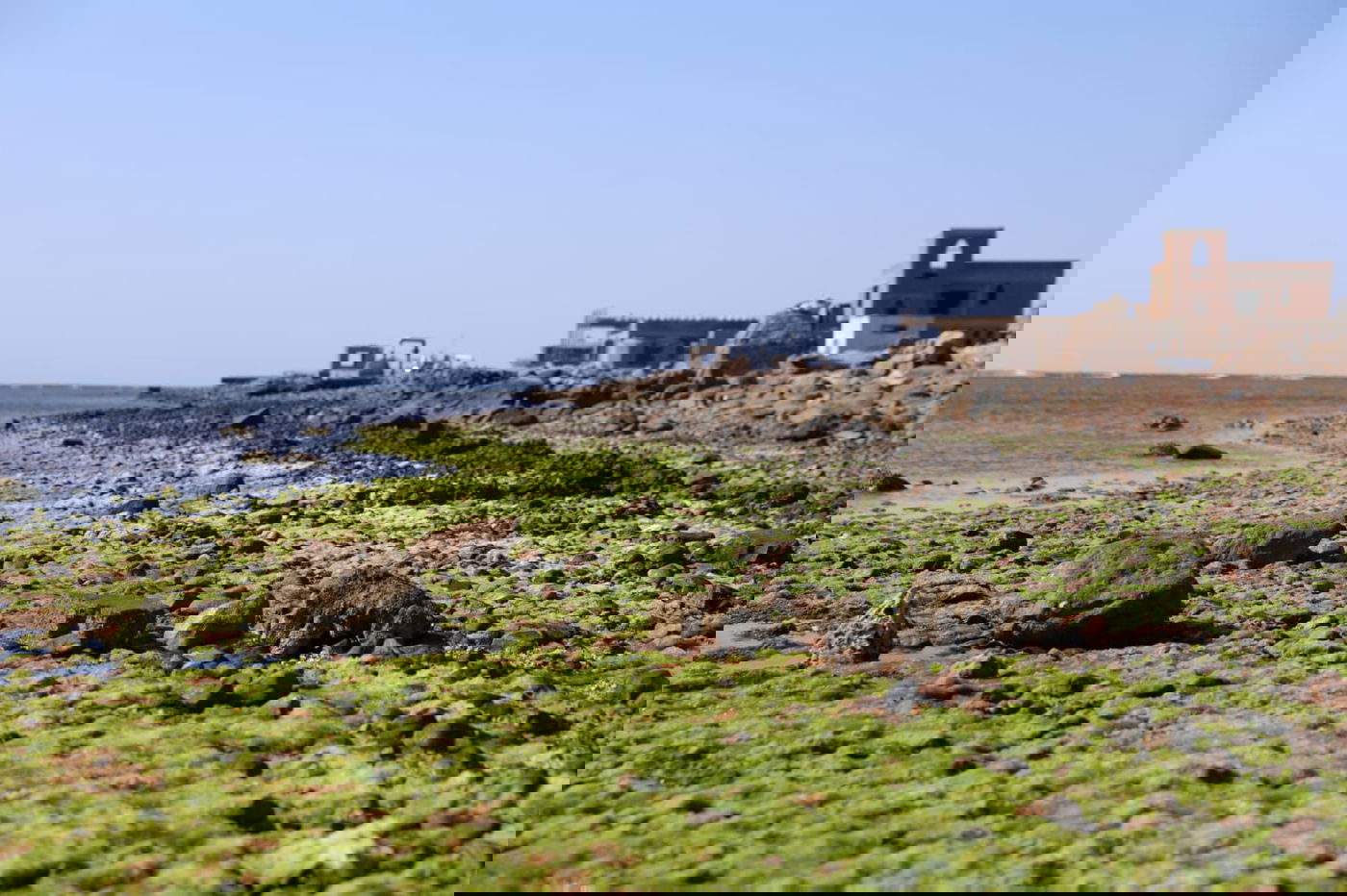 טיול מרהיב לנופי סיני דרך עדשת המצלמה