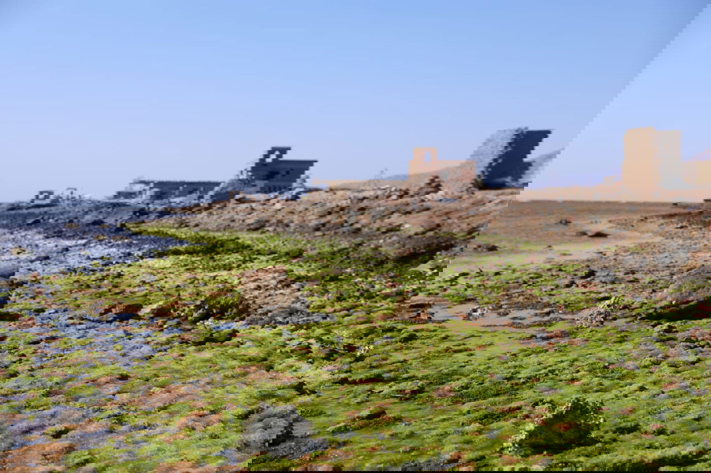 טיול מרהיב לנופי סיני דרך עדשת המצלמה