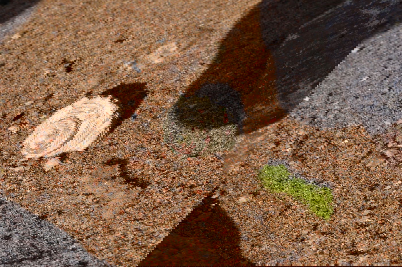 טיול מרהיב לנופי סיני דרך עדשת המצלמה