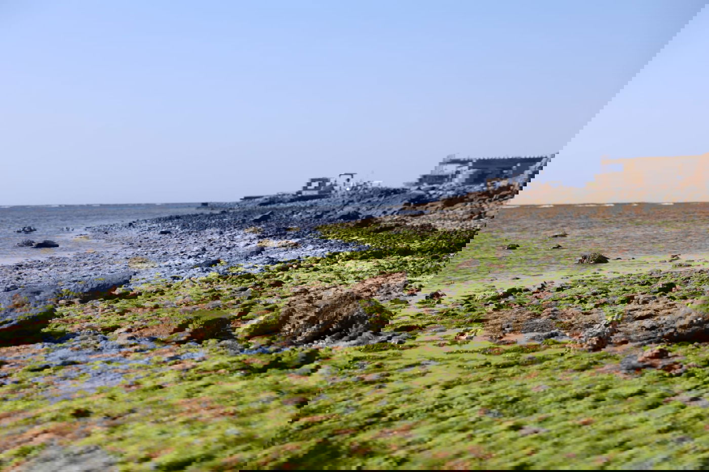 טיול מרהיב לנופי סיני דרך עדשת המצלמה