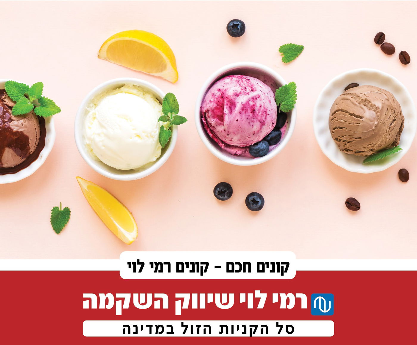 קיץ ברמי לוי