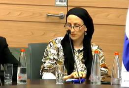 גיטי קליינרמן, בדיון היום בוועדה