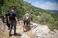 איתור נעדרים | אילוסטרציה