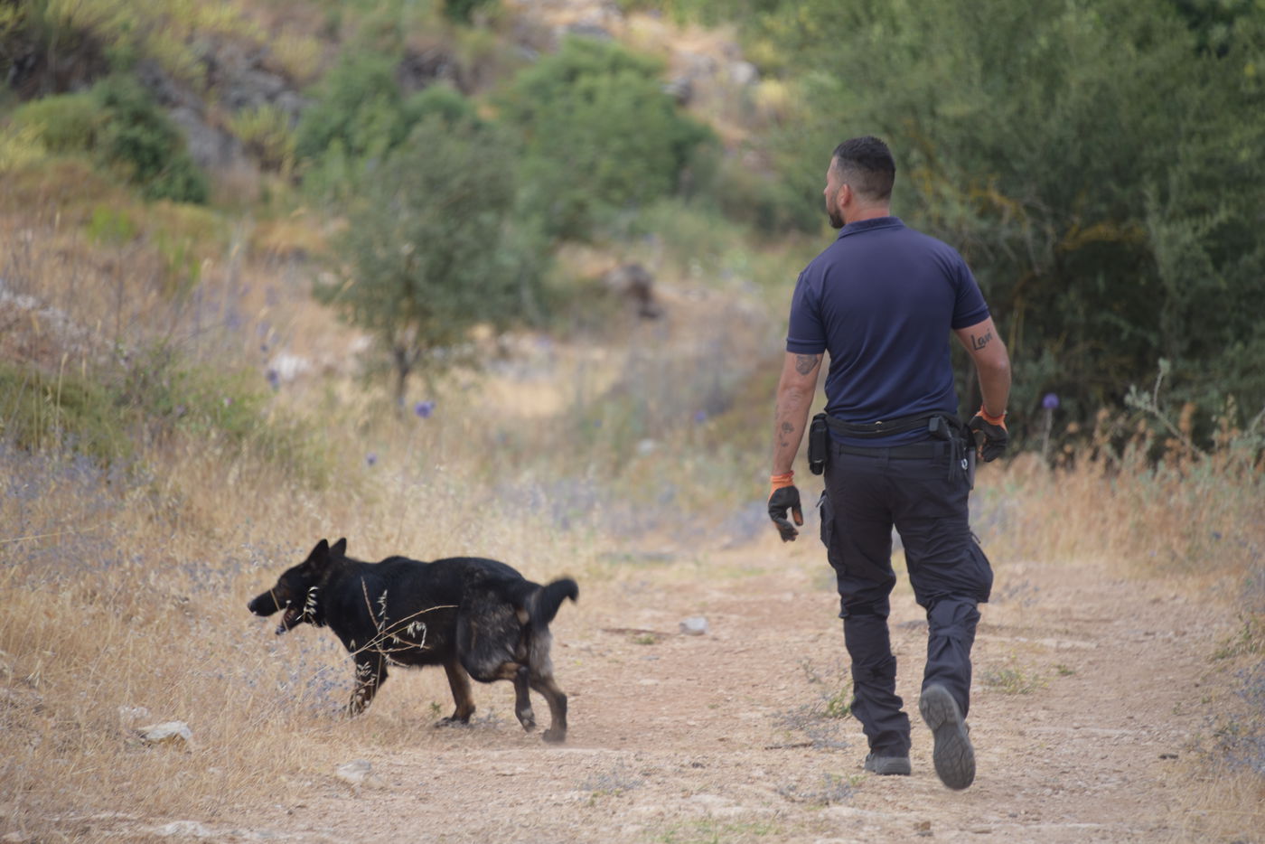 מאות שוטרים יצאו לחפש את מוישי • תיעוד