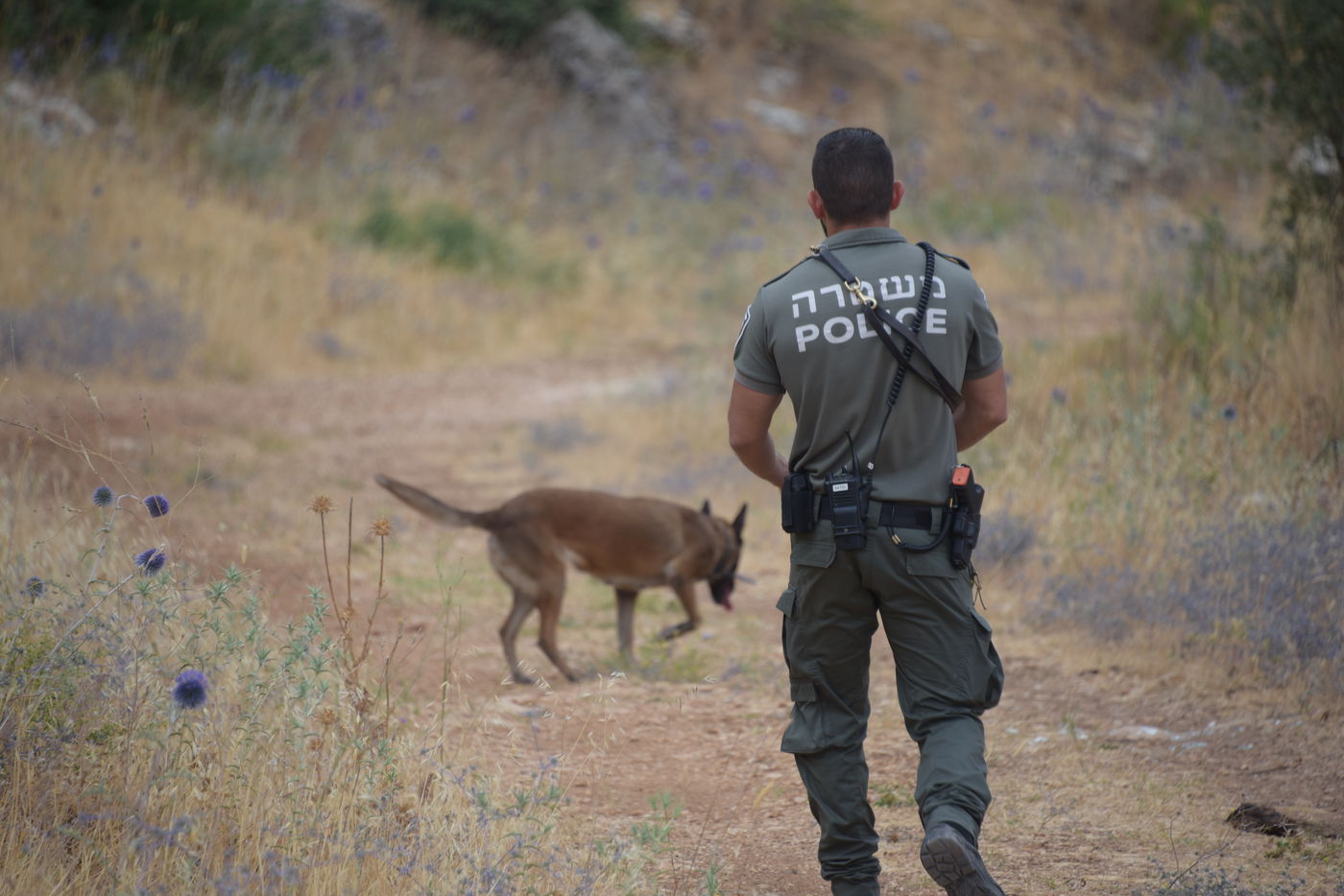 מאות שוטרים יצאו לחפש את מוישי • תיעוד