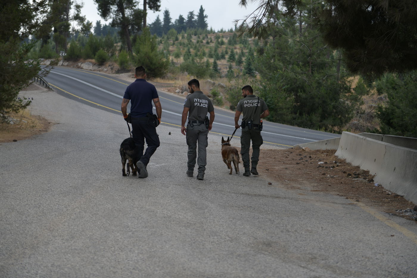 מאות שוטרים יצאו לחפש את מוישי • תיעוד