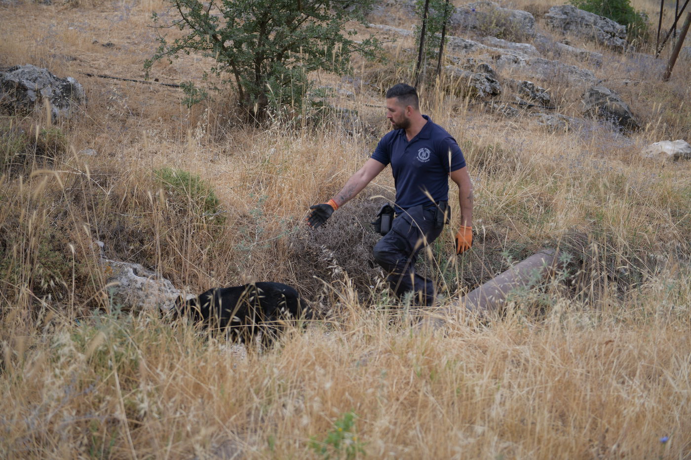 מאות שוטרים יצאו לחפש את מוישי • תיעוד