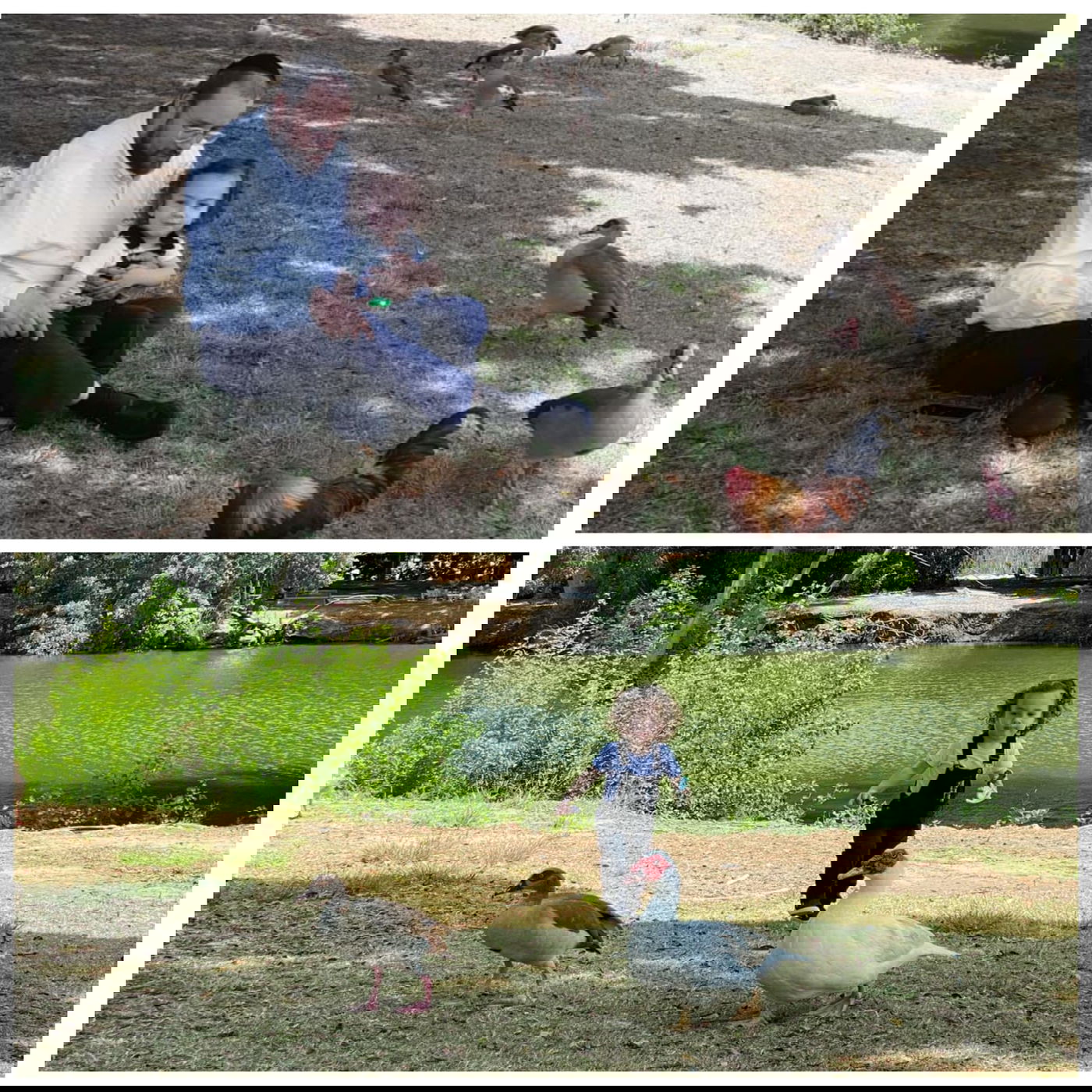 זופניק בכיכר • כל התמונות והנייעס של השבוע