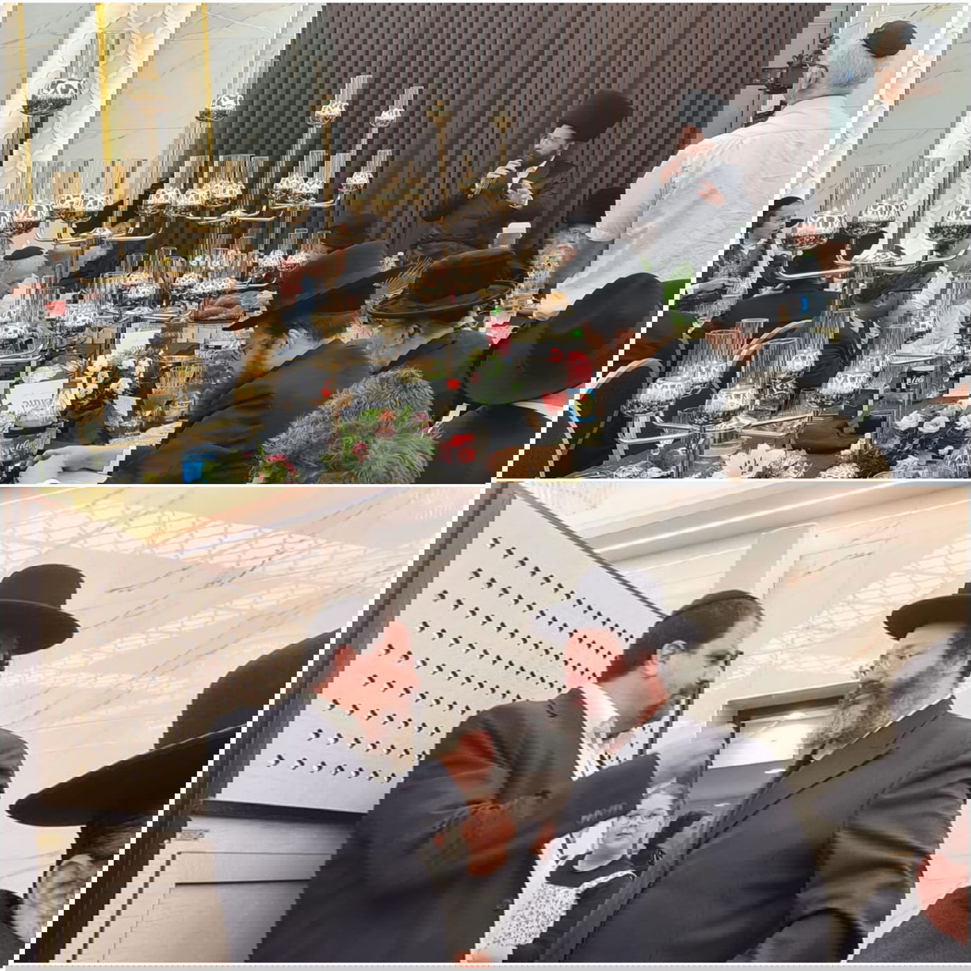 זופניק בכיכר • כל התמונות והנייעס של השבוע