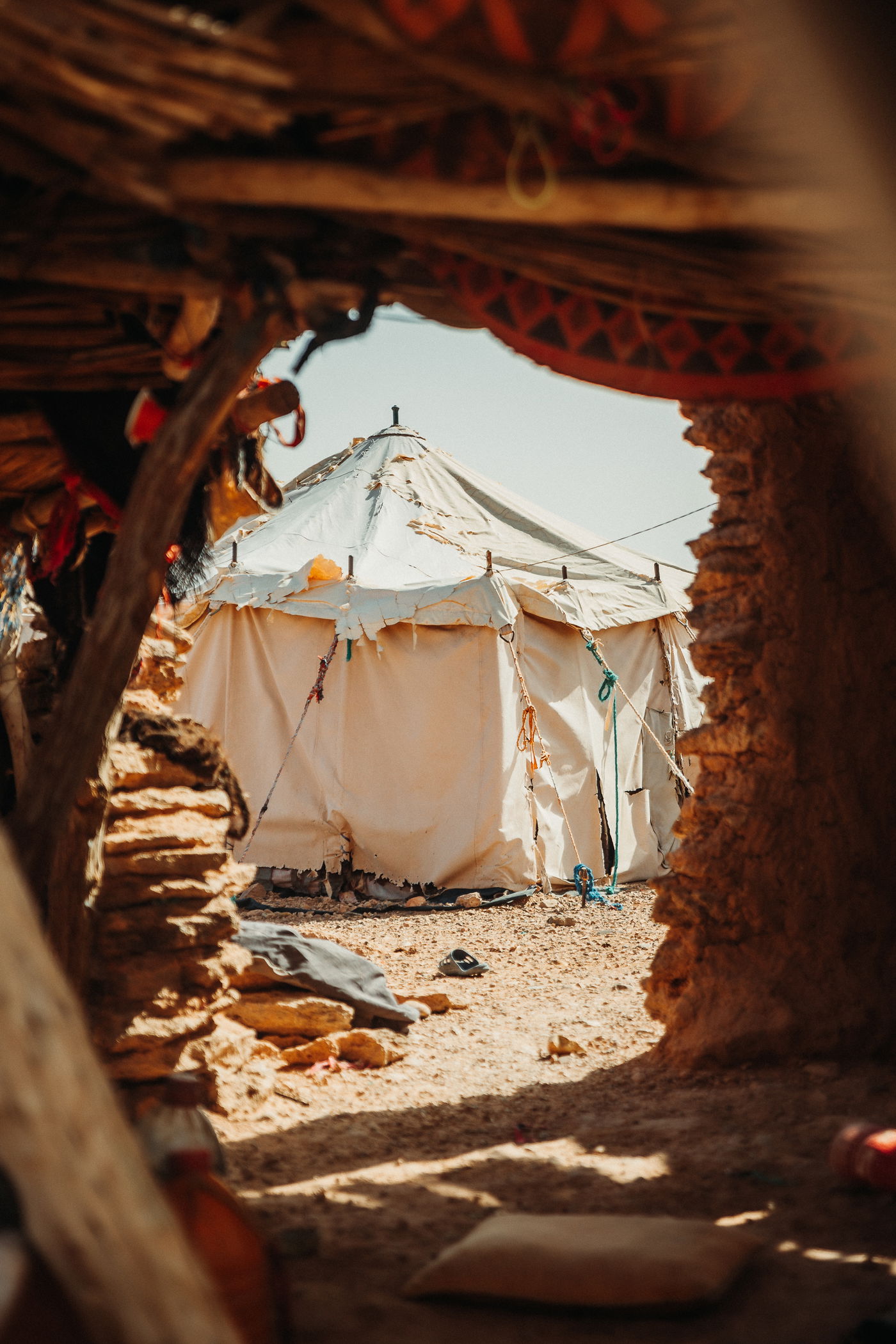 שורשים וכיף: המסע המרהיב של אוהד הנווד במרוקו