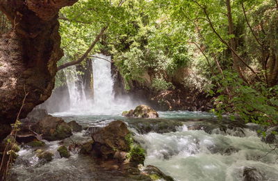 התחזית: היום ללא שינוי, מחר - התחממות
