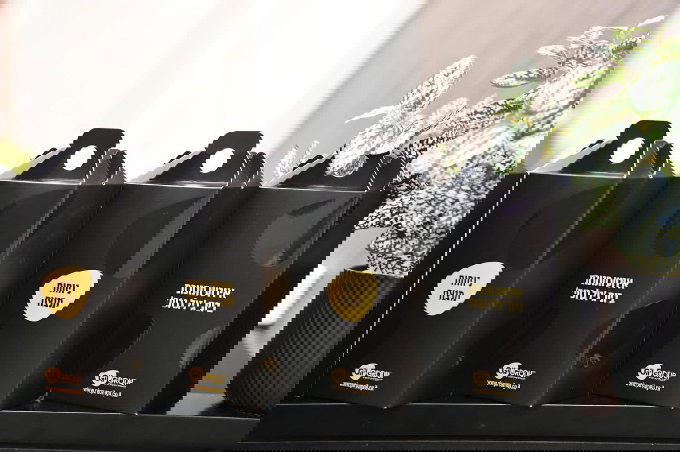 בטקס חגיגי נחנך בית 'גיל-גרופ' החדש: רבנים, ח"כים ואנשי תקשורת הגיעו לברך