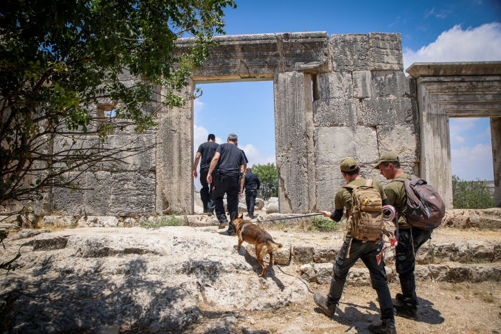 החיפושים אחרי מוישי
