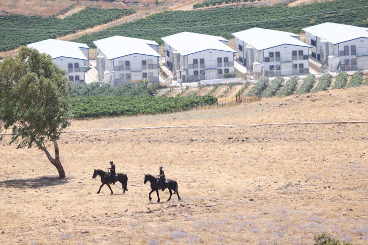 החיפושים אחרי מוישי קליינרמן