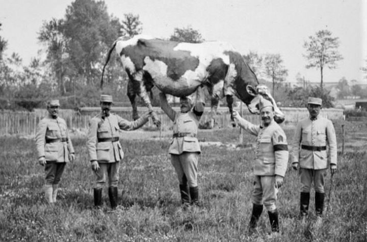חיילים מוצאים תעסוקה | גלריה קרבית במיוחד