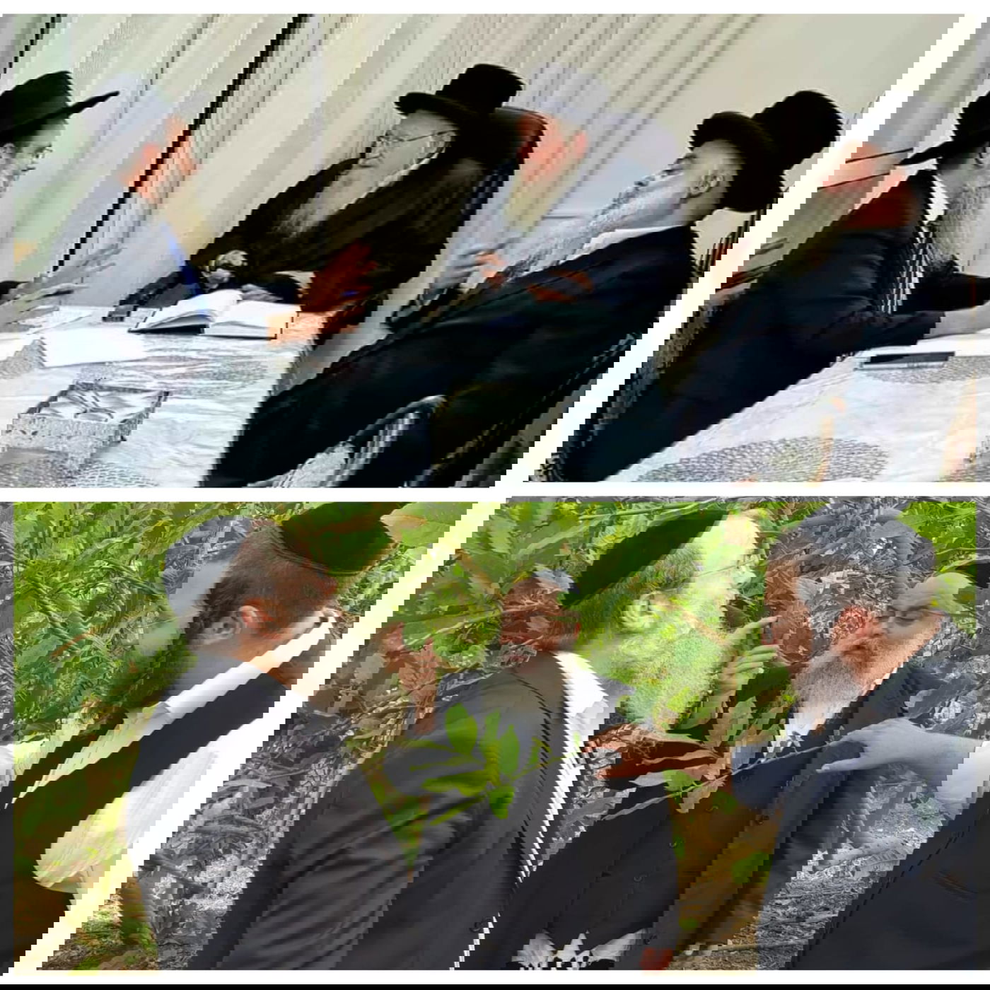 זופניק בכיכר • כל התמונות והנייעס של השבוע