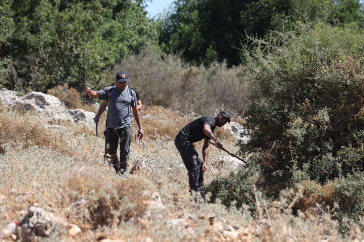 הופכים כל אבן: גם היום עשרות חיפשו את קליינרמן