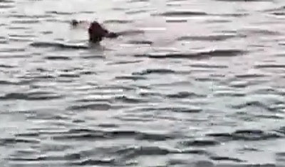 שתי תיירות נהרגו במצרים מתקיפת כרישים