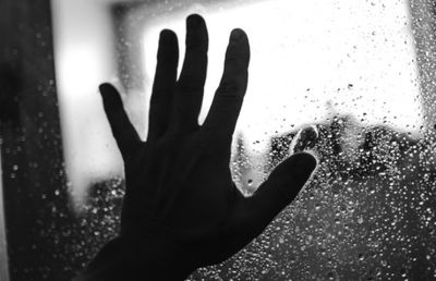 אילוסטרציה