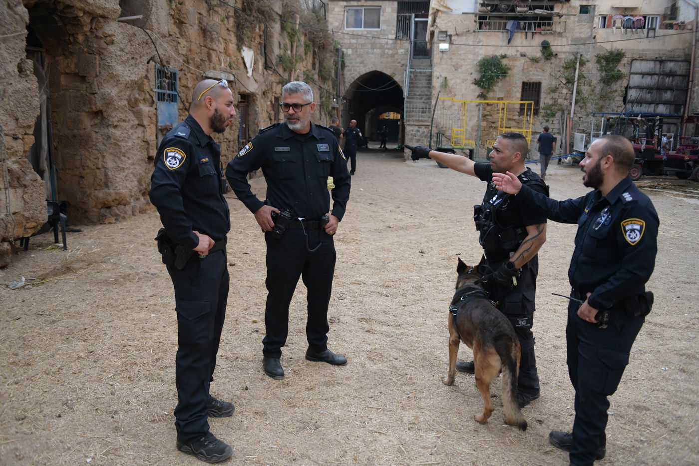 פולשים בנו אורוות סוסים מאולתרת ופונו • צפו