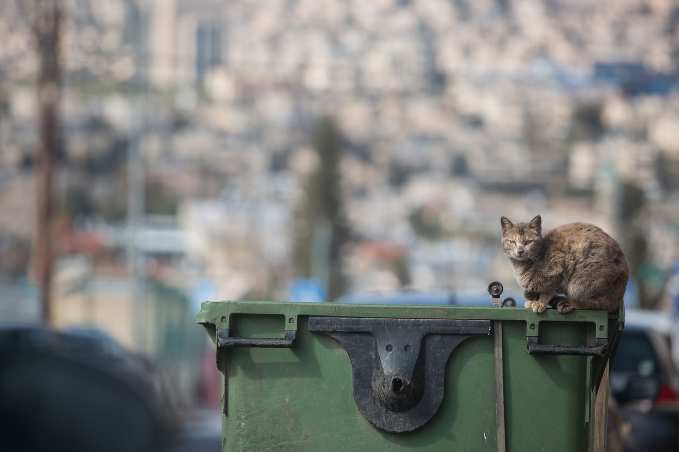 אשפה; אילוסטרציה