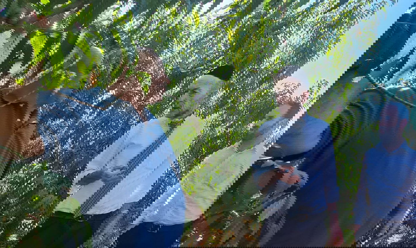 החקלאי הפתיע וסיפר; "כך הפסדתי מאות אלפי שקלים" • צפו