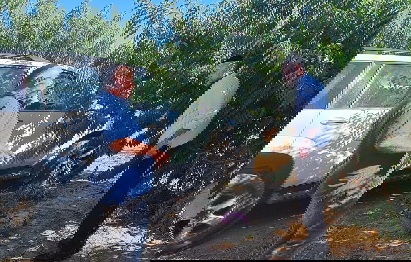 החקלאי הפתיע וסיפר; "כך הפסדתי מאות אלפי שקלים" • צפו