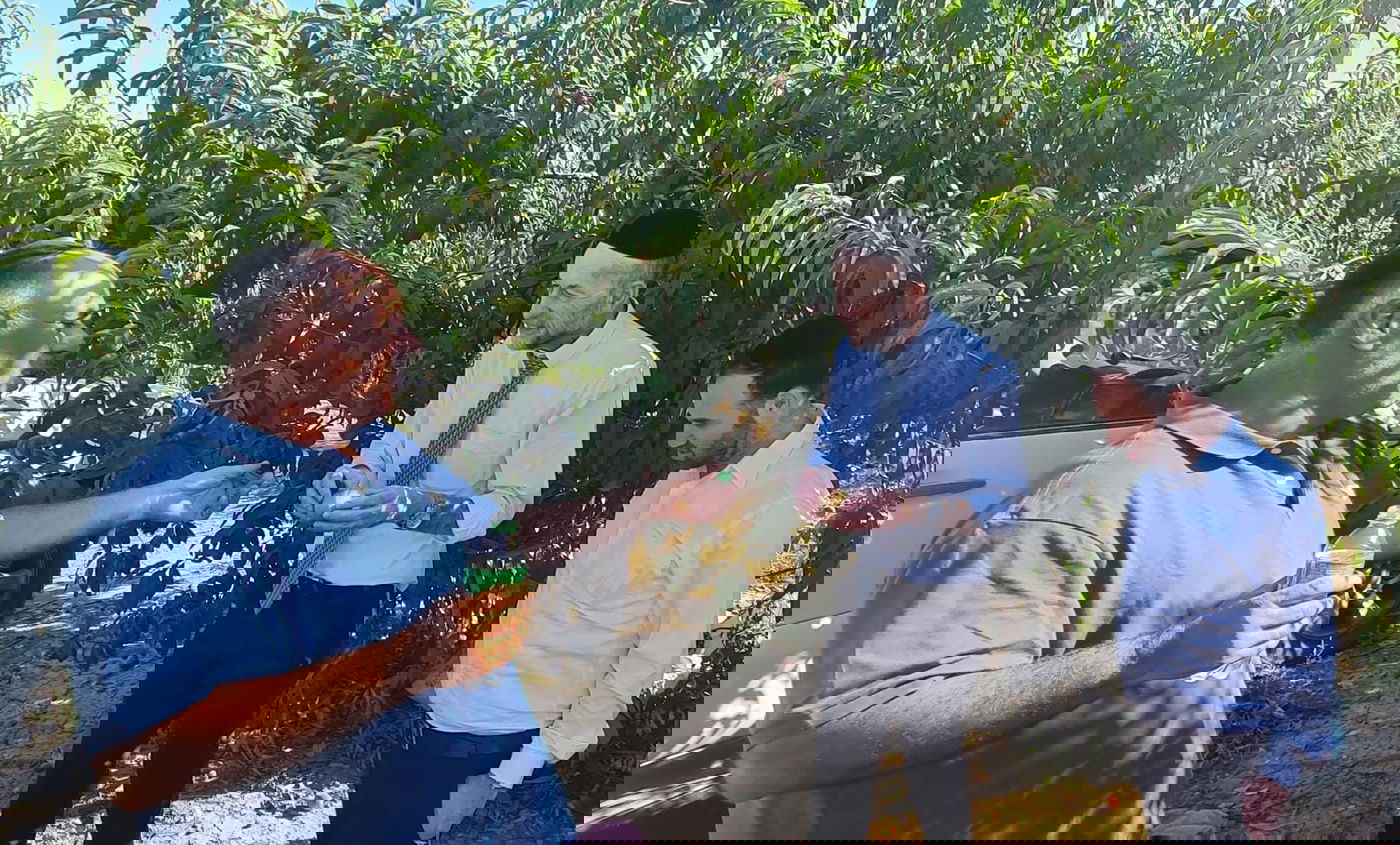 החקלאי הפתיע וסיפר; "כך הפסדתי מאות אלפי שקלים" • צפו