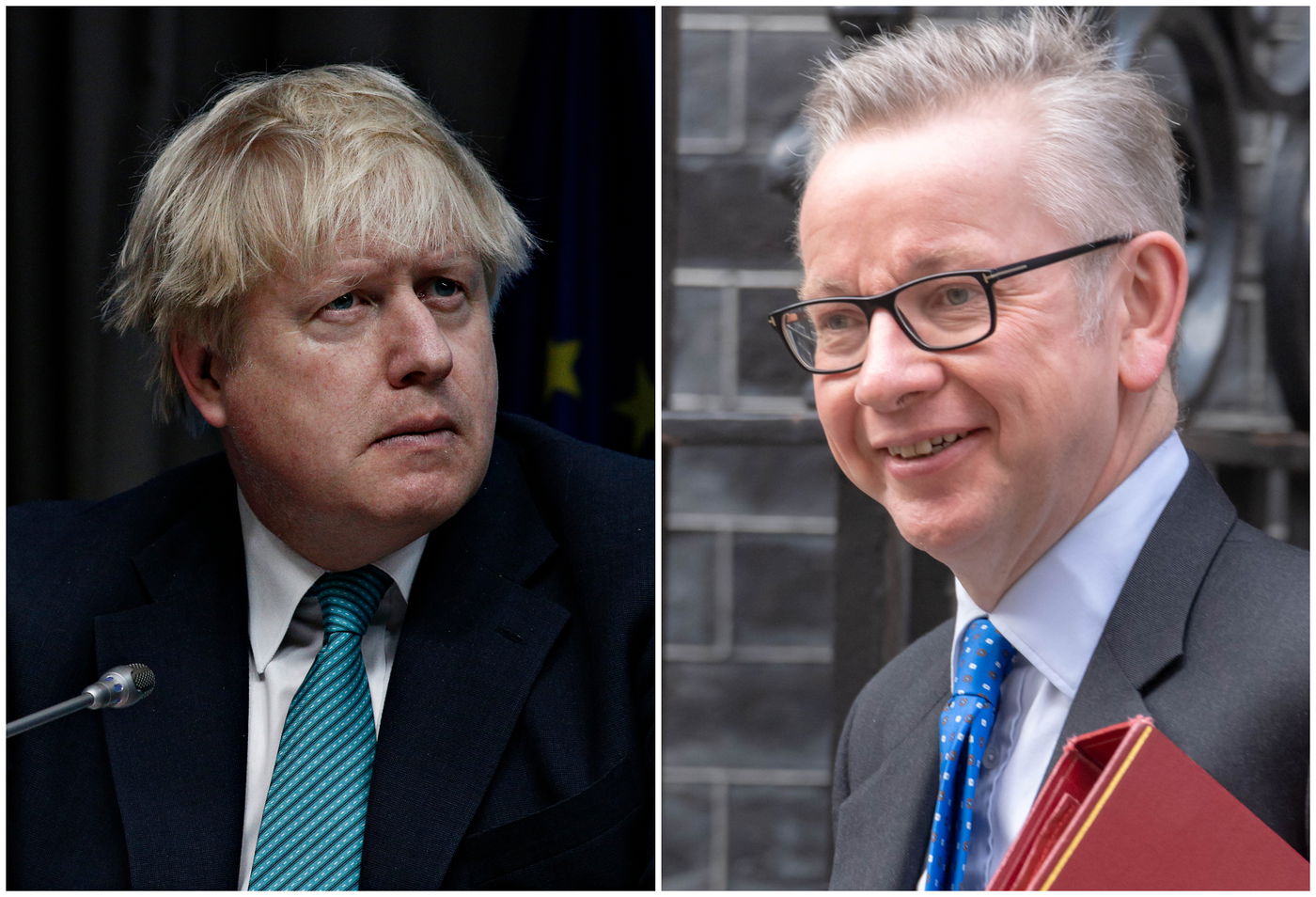 גוב וג'ונסון