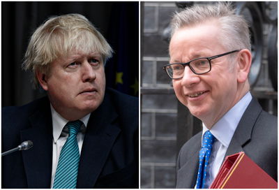 גוב וג'ונסון