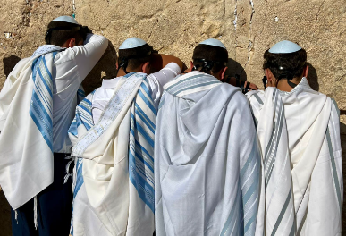 300 מ'אנוסי משהד' חגגו בר מצווה בכותל